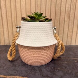 Two-Tone Ceramic Succulent Planter with Rope Handles